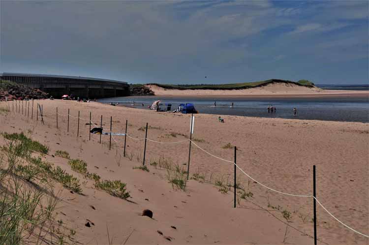 beach and coastline